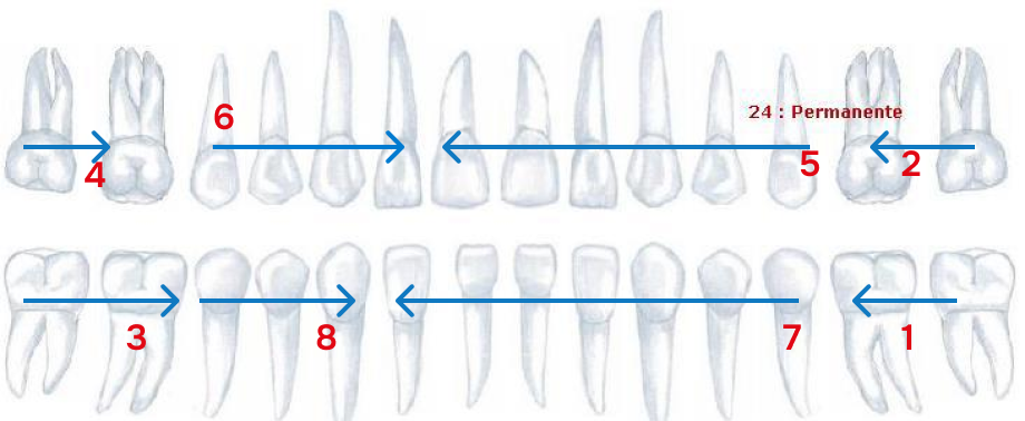 group 924 Collage direct Orthosafe